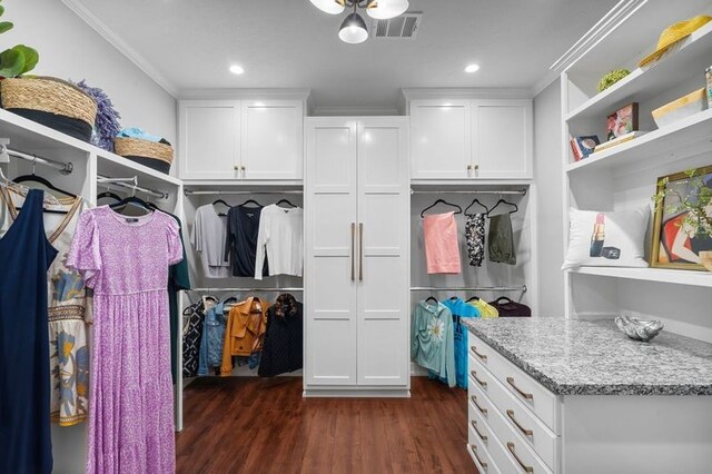 15106 Cranbourne Dr, Houston, TX 77062 - walk in closet featuring dark wood-style flooring