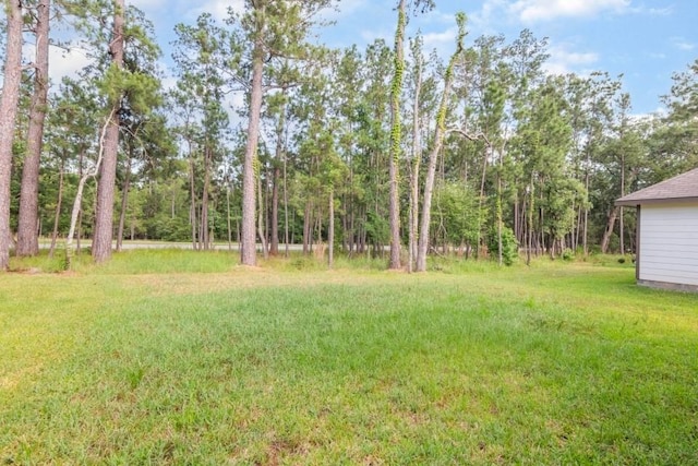 26676 Pools Creek Dr, Huntsville, TX 77320 - photo 23