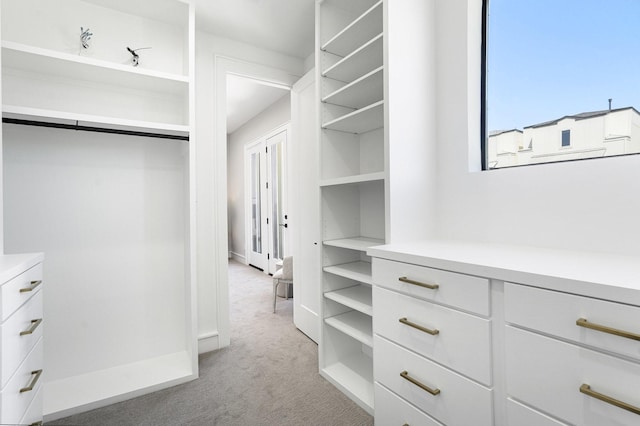 2216 Francis St, Houston, TX 77004 - walk in closet with light colored carpet