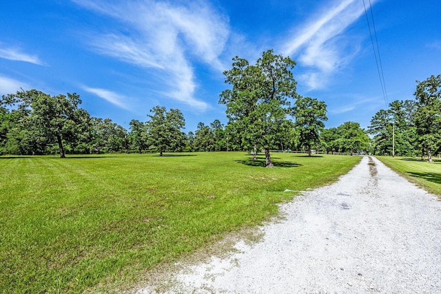 206 William Thomas Rd, Huntsville, TX 77320