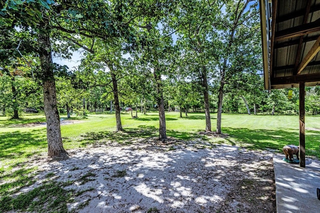 206 William Thomas Rd, Huntsville, TX 77320