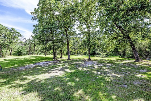 206 William Thomas Rd, Huntsville, TX 77320