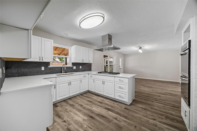 kitchen with extractor fan, a sink, a peninsula, white cabinetry, and stainless steel appliances