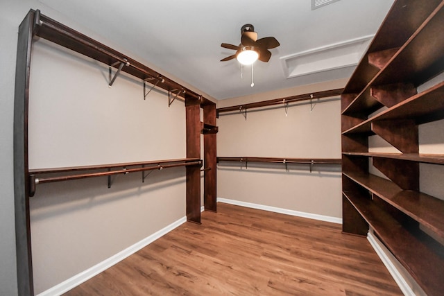 9731 Hadden Rd, Baytown, TX 77521 - walk in closet featuring ceiling fan and wood finished floors