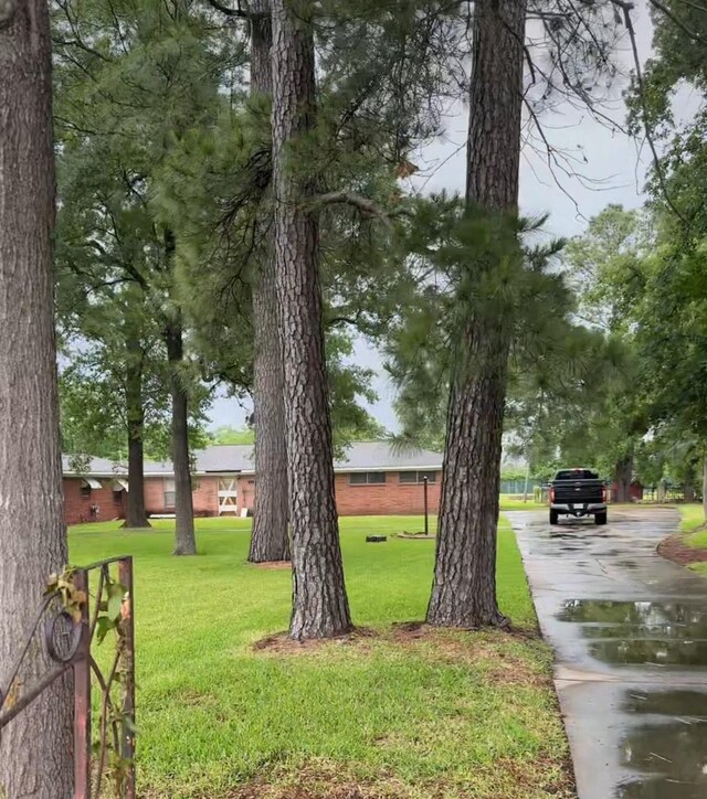 12420 Wallisville Rd, Houston, TX 77013 - view of green lawn