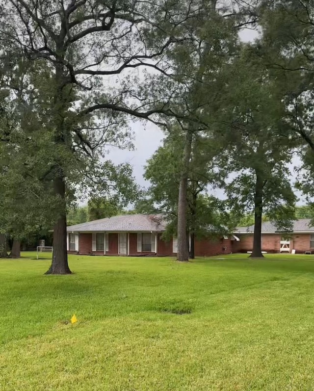 12420 Wallisville Rd, Houston, TX 77013 - view of green lawn