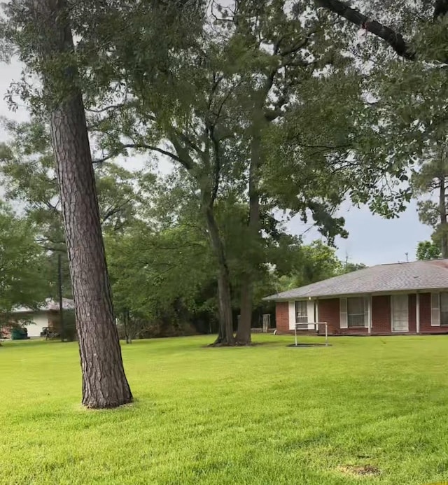 12420 Wallisville Rd, Houston, TX 77013 - view of grassy yard