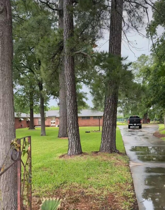 12420 Wallisville Rd, Houston, TX 77013 - view of green lawn