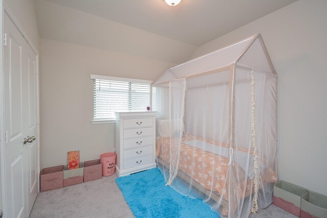 26523 Hypatia Trce, Richmond, TX 77406 - photo 27
