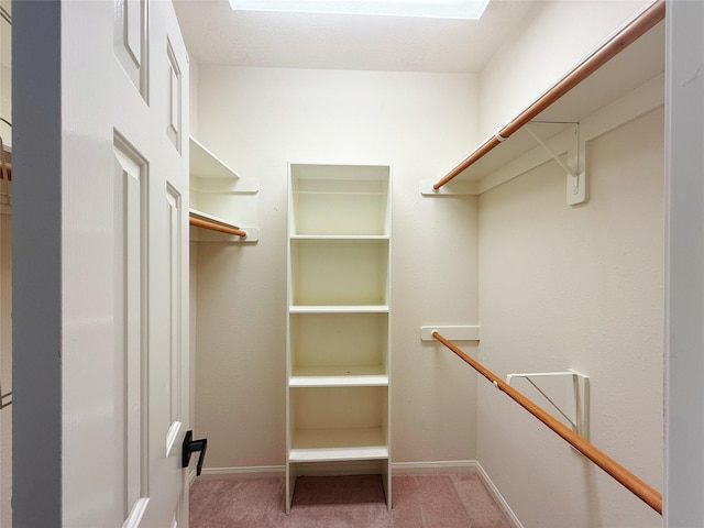 16322 E Amber Willow Trl, Cypress, TX 77433 - spacious closet with light colored carpet