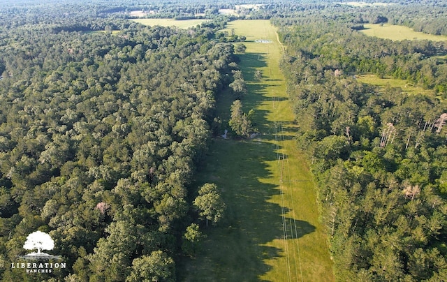 LOT3 John Warren Rd, Coldspring, TX 77331