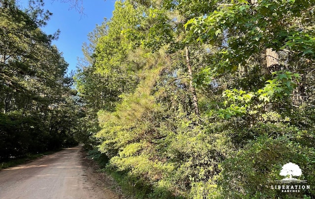 LOT3 John Warren Rd, Coldspring, TX 77331