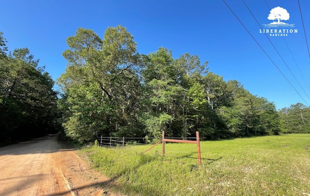 LOT3 John Warren Rd, Coldspring, TX 77331