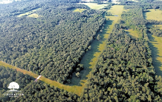 LOT3 John Warren Rd, Coldspring, TX 77331