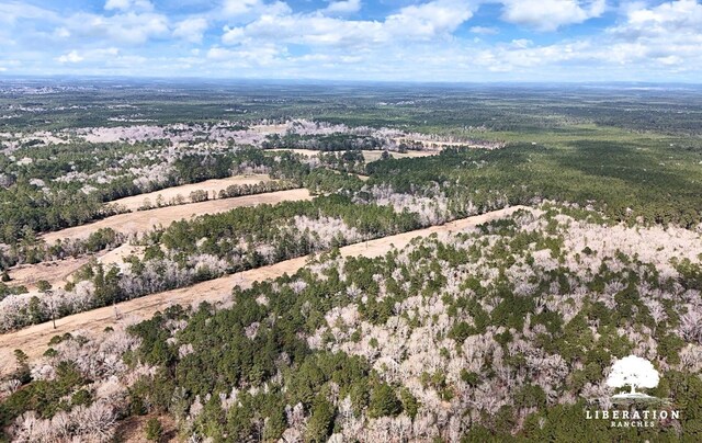 LOT3 John Warren Rd, Coldspring, TX 77331