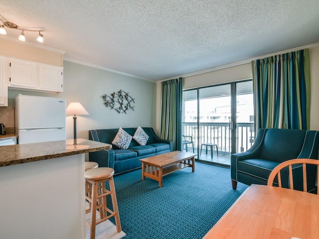 6102 Seawall Blvd Unit 261, Galveston, TX 77551 - living room with crown molding, a textured ceiling, and carpet flooring