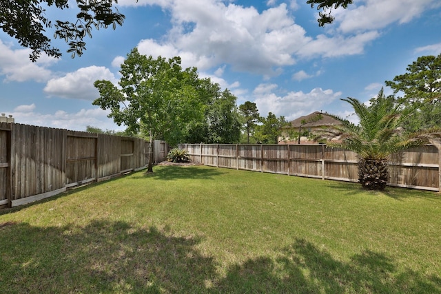 12002 Iris Canyon Dr, Tomball, TX 77377 - view of yard