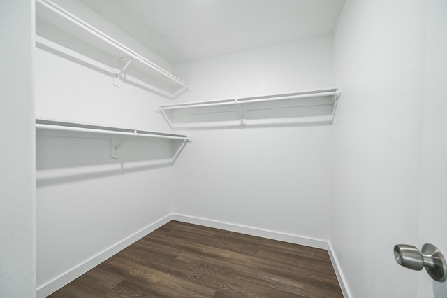 2322 Wavell St, Houston, TX 77088 - walk in closet with dark wood-type flooring