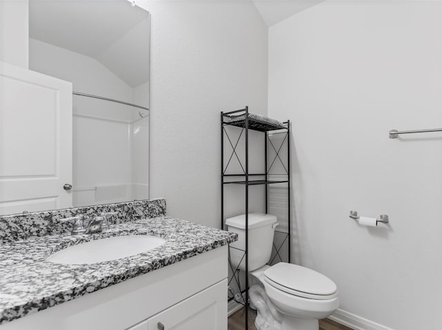 2715 Marguerite St, Bay City, TX 77414 - bathroom featuring wood finished floors, toilet, vanity, lofted ceiling, and a shower