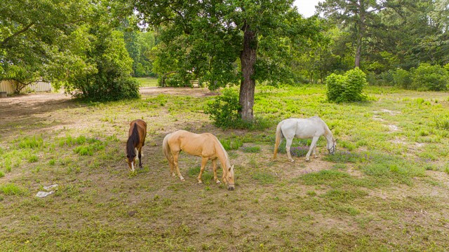 11664 Fm 92, Silsbee, TX 77656 - view of yard