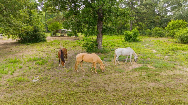 11664 Fm 92, Silsbee, TX 77656 - view of yard with a view of rural / pastoral area