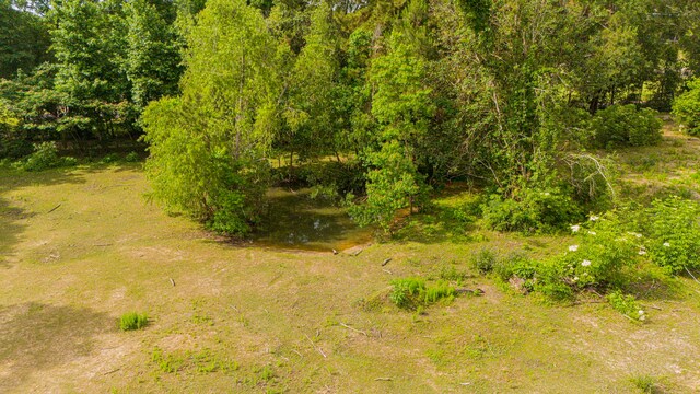11664 Fm 92, Silsbee, TX 77656 - view of local wilderness