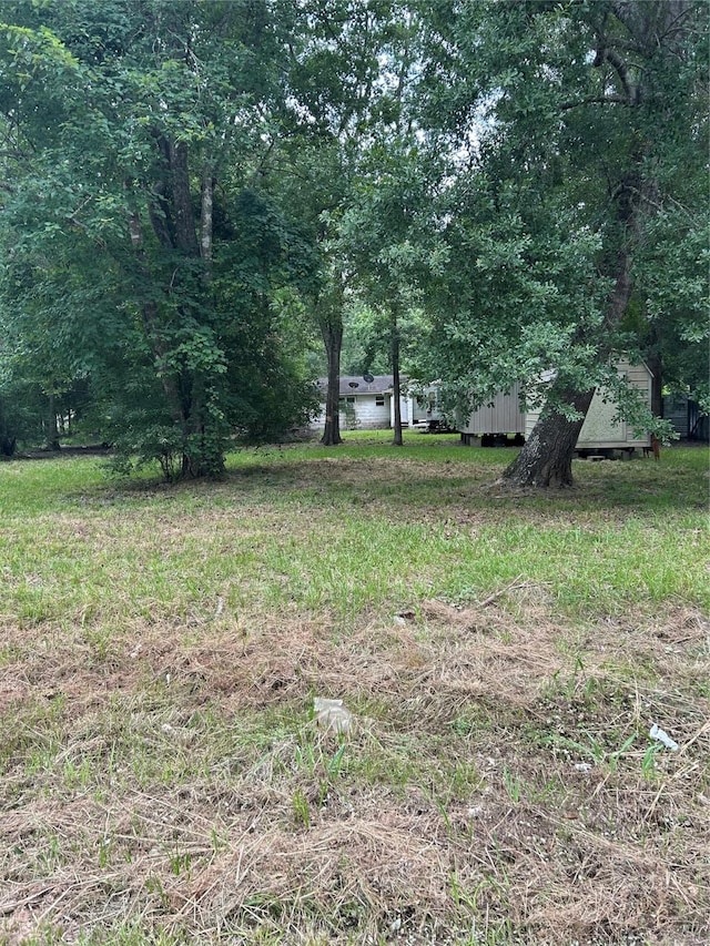 26735 Saddle Rock Ln, New Caney, TX 77357 - view of yard