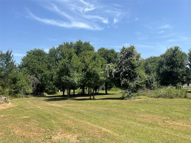 198 Riverside Dr, La Grange, TX 78945 - photo 3