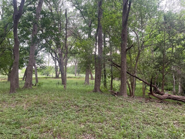 198 Riverside Dr, La Grange, TX 78945 - photo 7