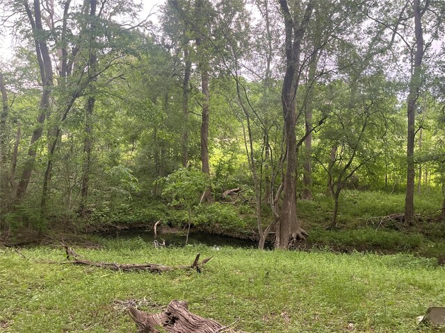 198 Riverside Dr, La Grange, TX 78945 - photo 8