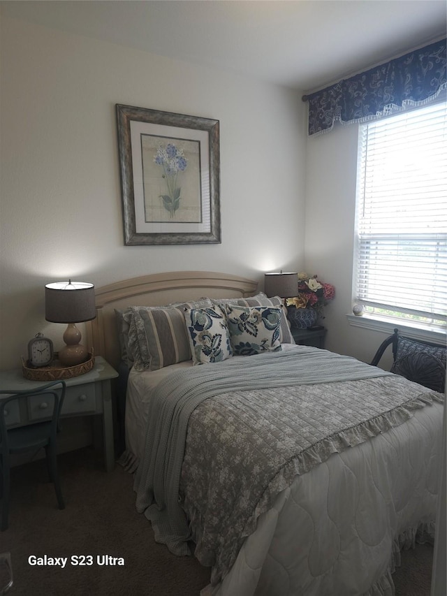 1013 Goose Creek St, Webster, TX 77598 - bedroom with carpet floors
