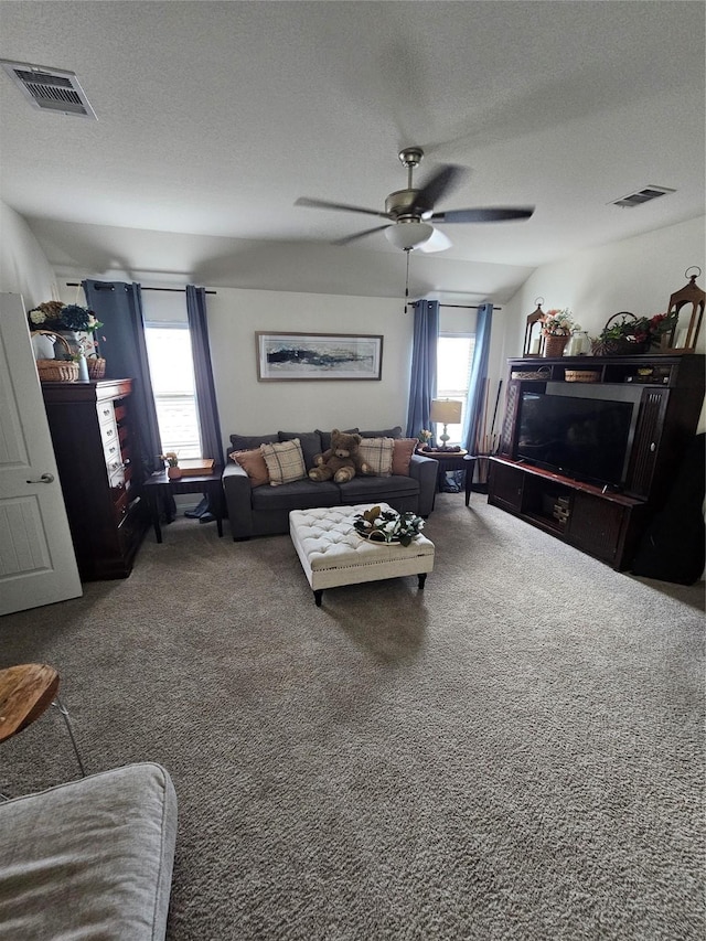 1013 Goose Creek St, Webster, TX 77598 - living area featuring carpet, ceiling fan, and a textured ceiling
