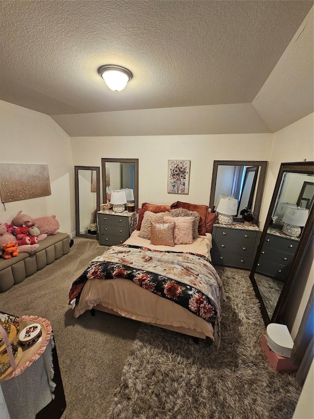 1013 Goose Creek St, Webster, TX 77598 - bedroom featuring lofted ceiling, carpet floors, and a textured ceiling