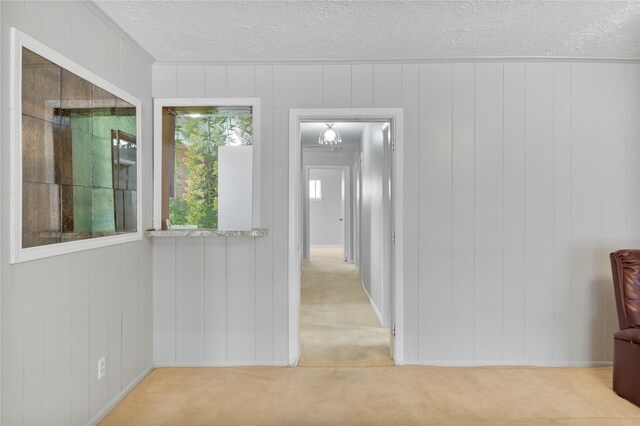 5402 Tallow Ln, Houston, TX 77021 - corridor with carpet flooring and a textured ceiling