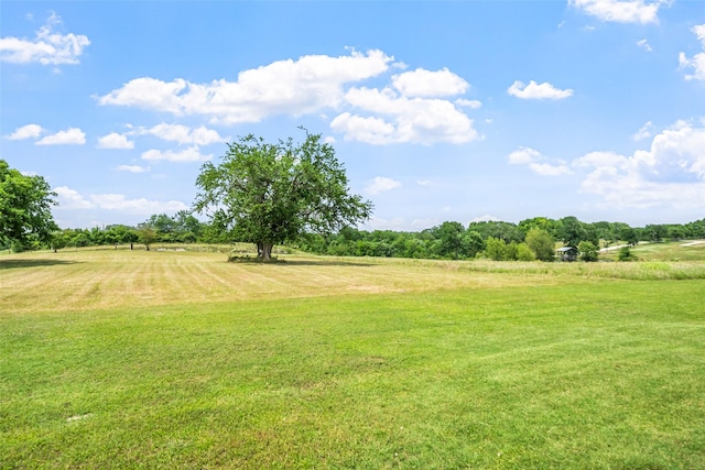 3785 County Road 405, Anderson, TX 77830 - view of green lawn