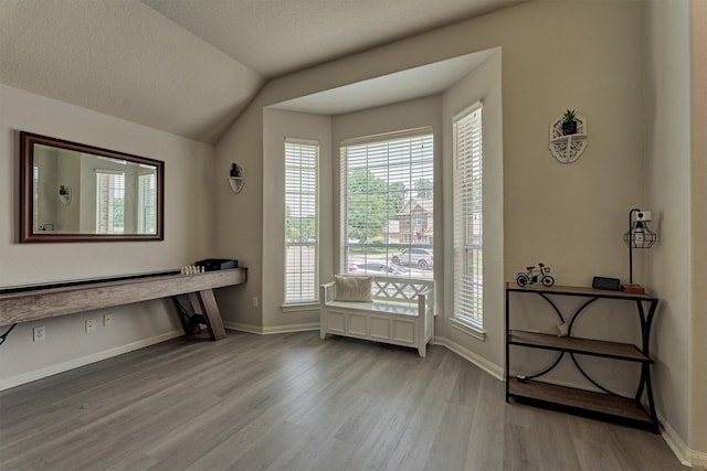 3729 Breckenridge Dr, Montgomery, TX 77356 - office space featuring wood finished floors, plenty of natural light, baseboards, and vaulted ceiling