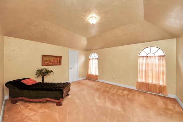 7510 Moreton Ct, Spring, TX 77379 - photo 31