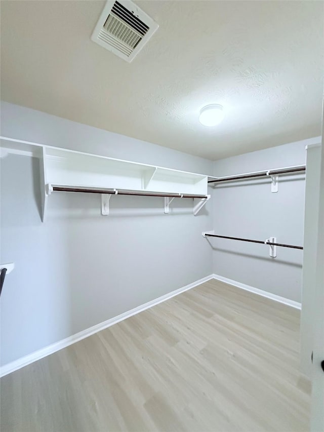 13938 Kenswick Key Ln, Houston, TX 77047 - spacious closet with light wood-style floors