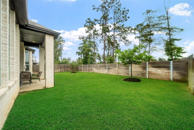 15040 Berry Brook Dr, Conroe, TX 77302 - view of yard featuring a patio