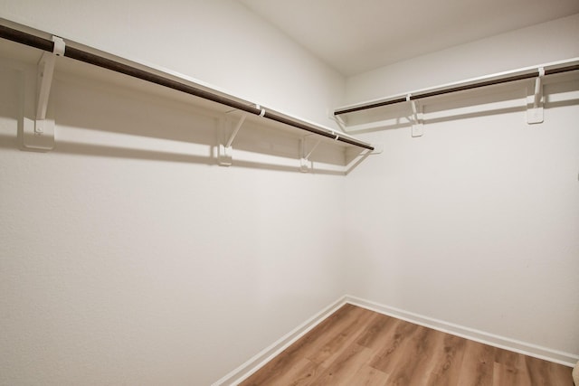 2728 Cadiz Bay Dr, Conroe, TX 77301 - walk in closet with light wood-style floors