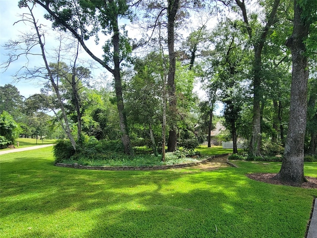 456 Lexington Ct, Conroe, TX 77302 - view of green lawn