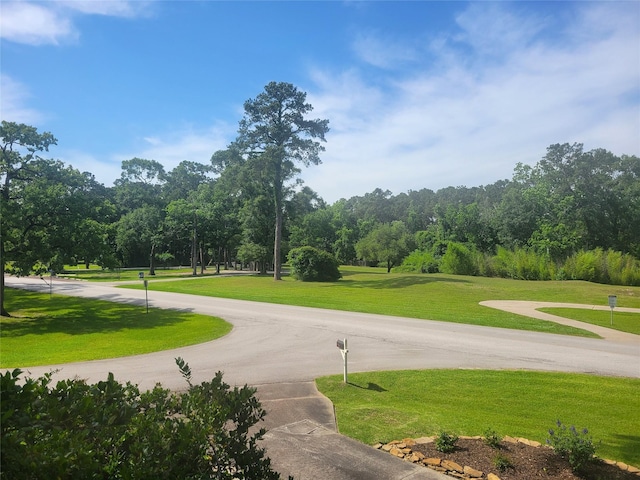 456 Lexington Ct, Conroe, TX 77302 - view of home's community with a lawn