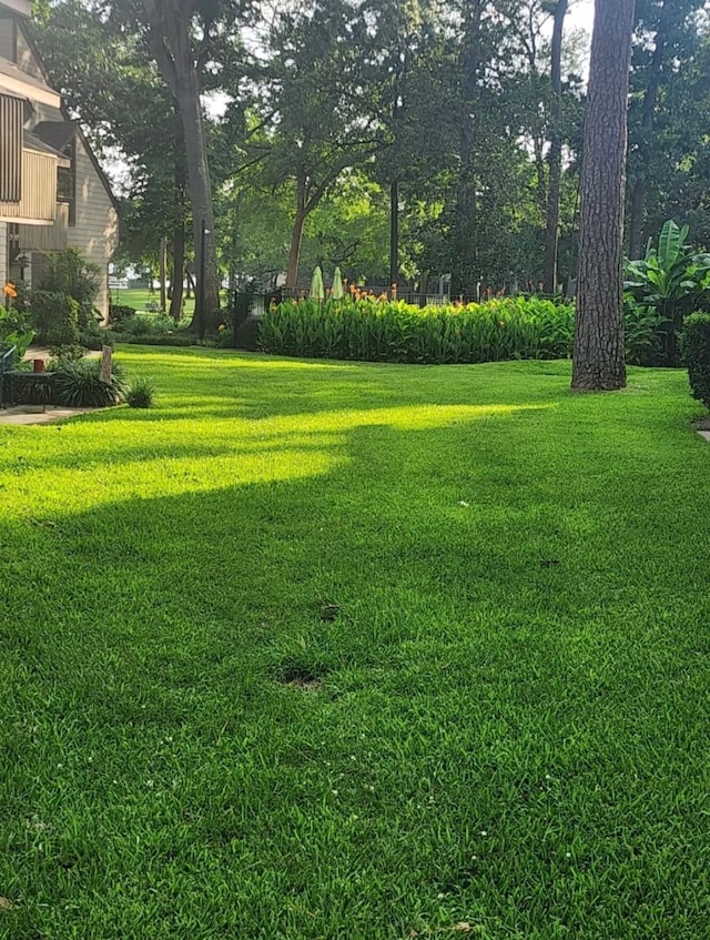 12900 Walden Rd Unit 715G, Montgomery, TX 77356 - view of green lawn