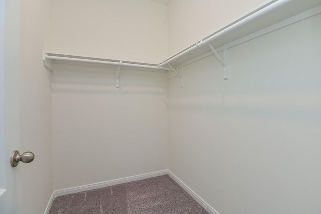 27638 Mesabe Dr, Magnolia, TX 77354 - walk in closet with carpet floors