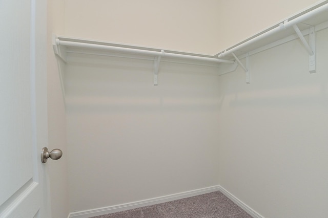27638 Mesabe Dr, Magnolia, TX 77354 - spacious closet with carpet