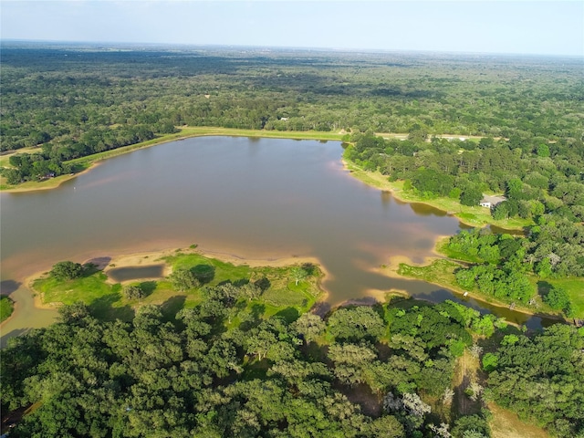 302 Bluebonnet Rd, Sheridan, TX 78950 - view of property location featuring a heavily wooded area and a nearby body of water