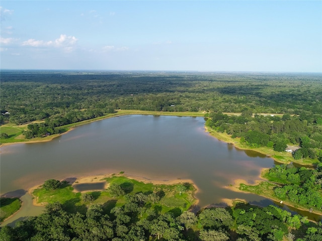 302 Bluebonnet Rd, Sheridan, TX 78950 - view of property location featuring a forest and a large body of water