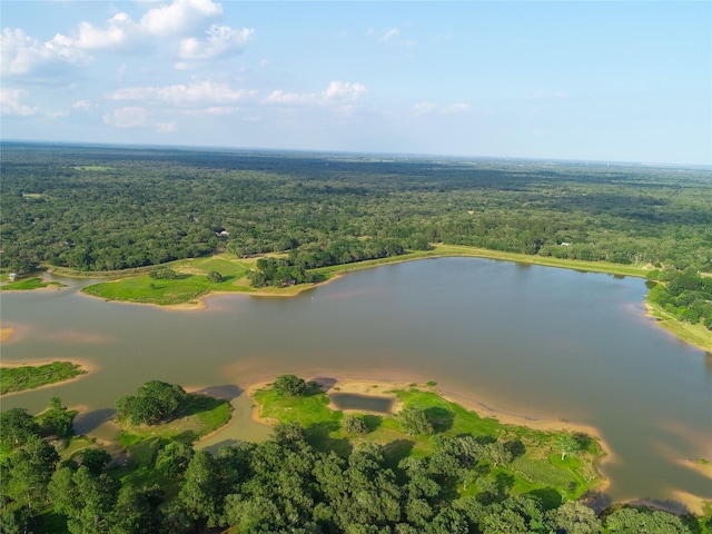 302 Bluebonnet Rd, Sheridan, TX 78950 - view of property location featuring a heavily wooded area and a large body of water