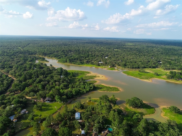 302 Bluebonnet Rd, Sheridan, TX 78950 - aerial view of a heavily wooded area and a nearby body of water