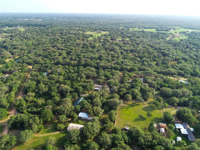 302 Bluebonnet Rd, Sheridan, TX 78950 - bird's eye view of a forest